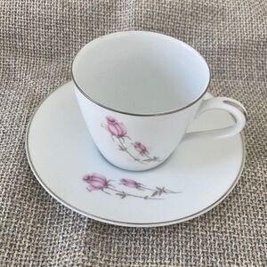 Japan Rose China 3306 duet porcelain cup and saucer set